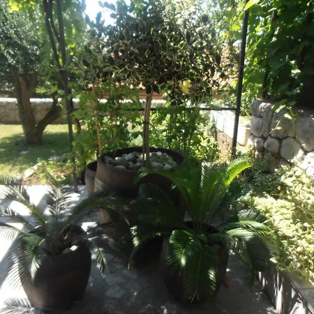 Silvo *