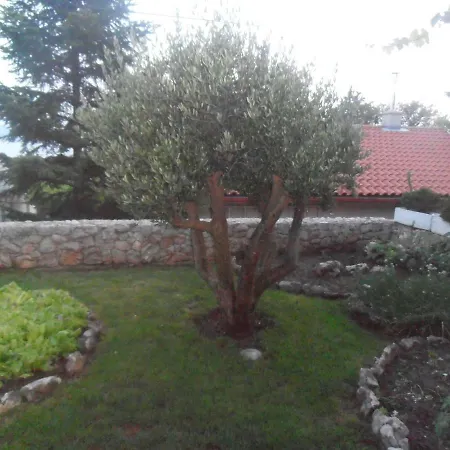 Appartamento Silvo Novi Vinodolski
